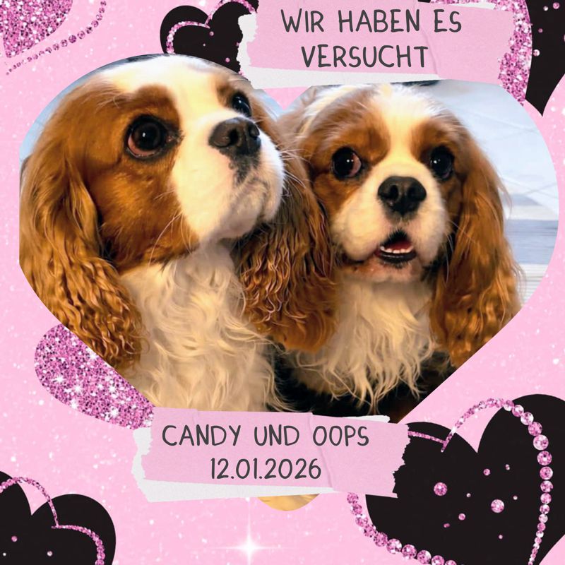 InCollage_20260116_214926409